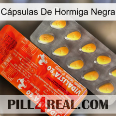 Cápsulas De Hormiga Negra new01